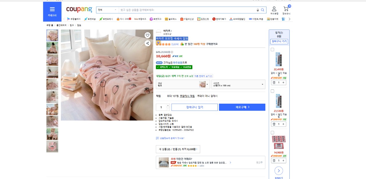 바자르 극세사 딸기 담요